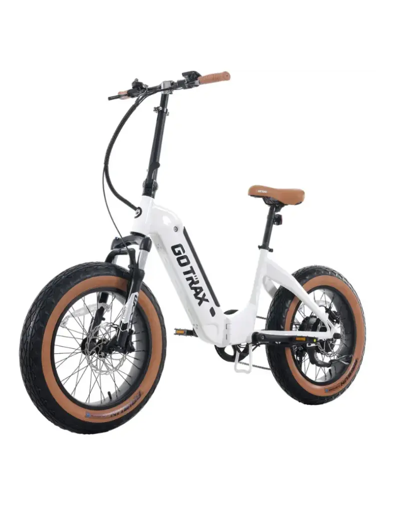 GoTrax F5