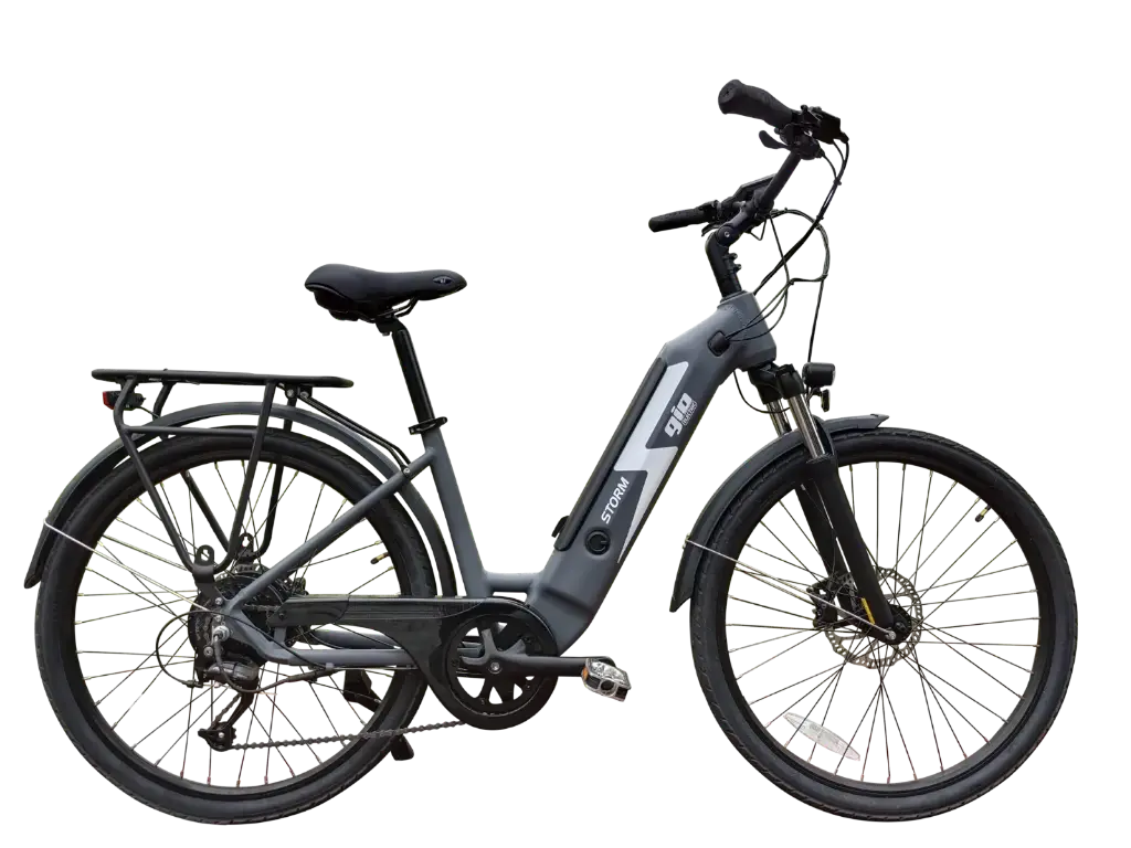 [STORM] GIO - Storm 48V (Rose)